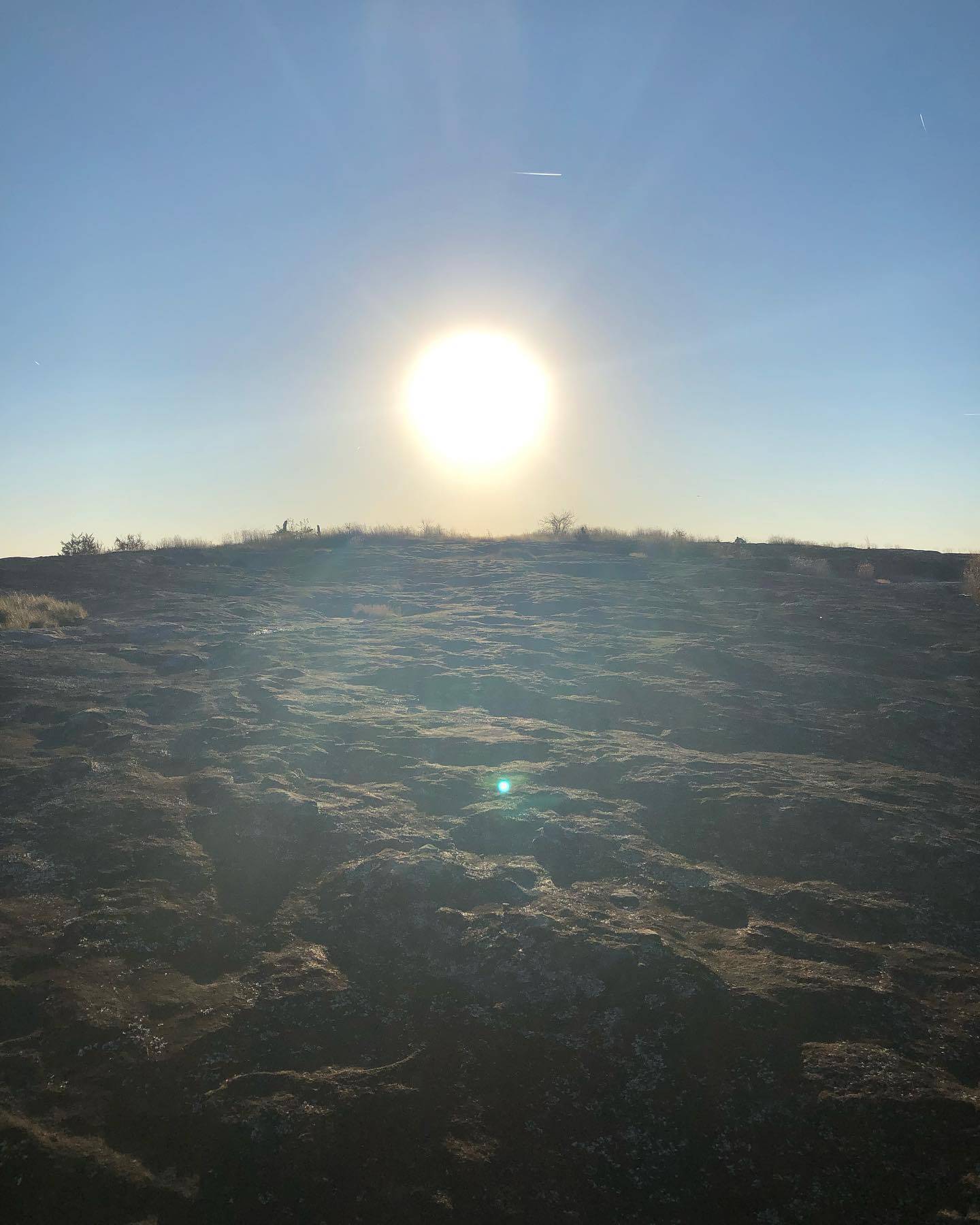 Nature gallery image 22