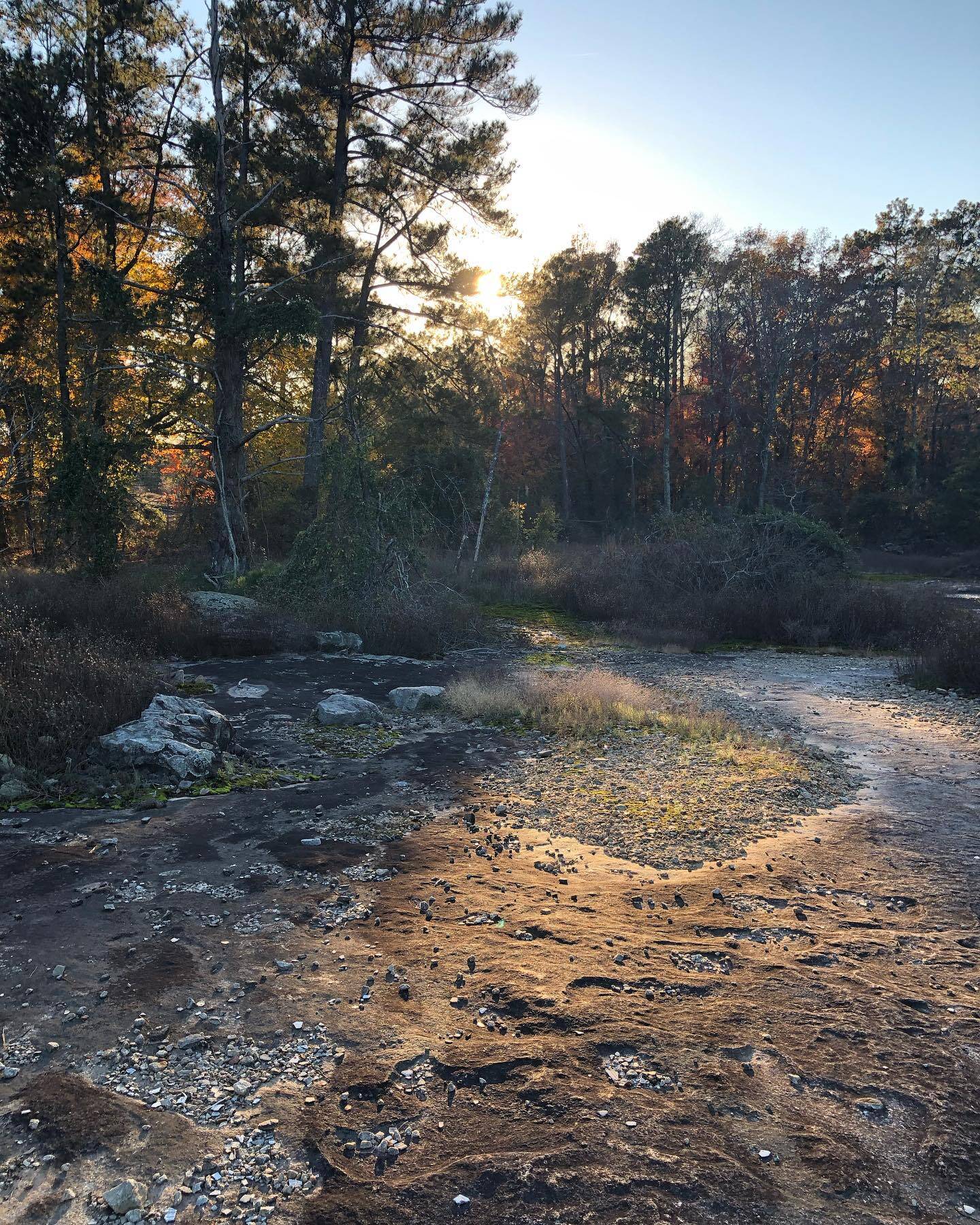 Nature gallery image 16