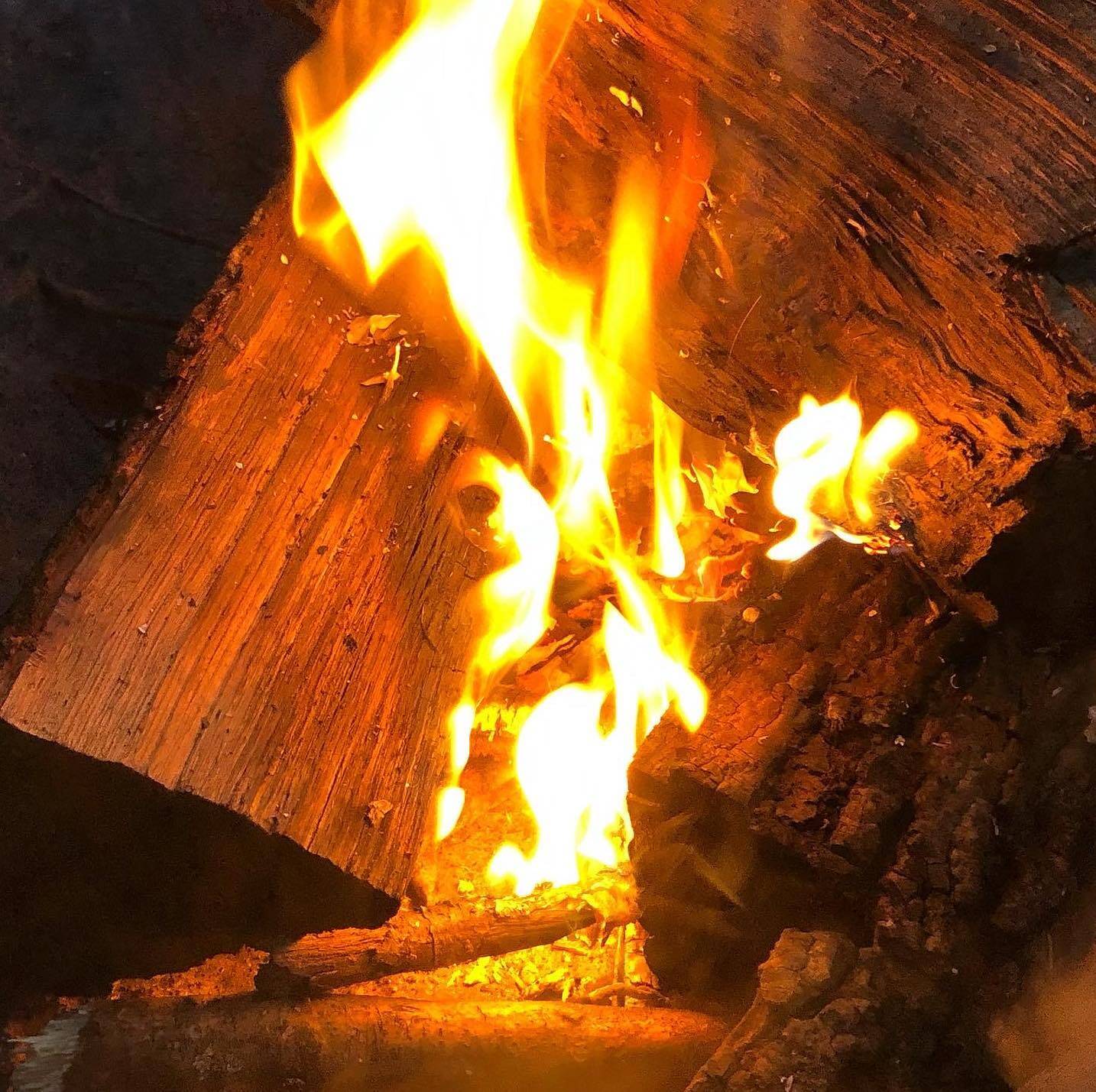 Nature gallery image 23