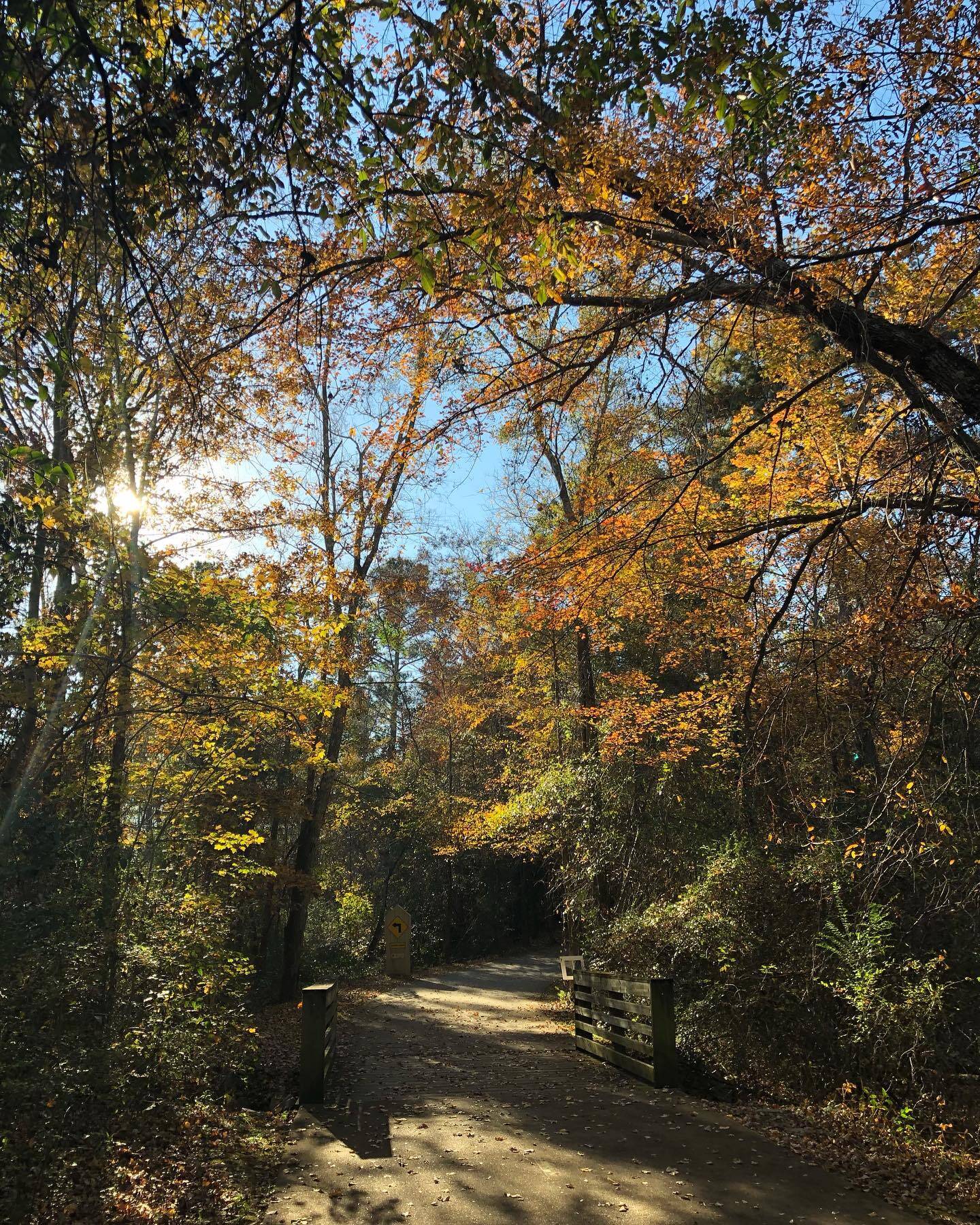 Nature gallery image 21