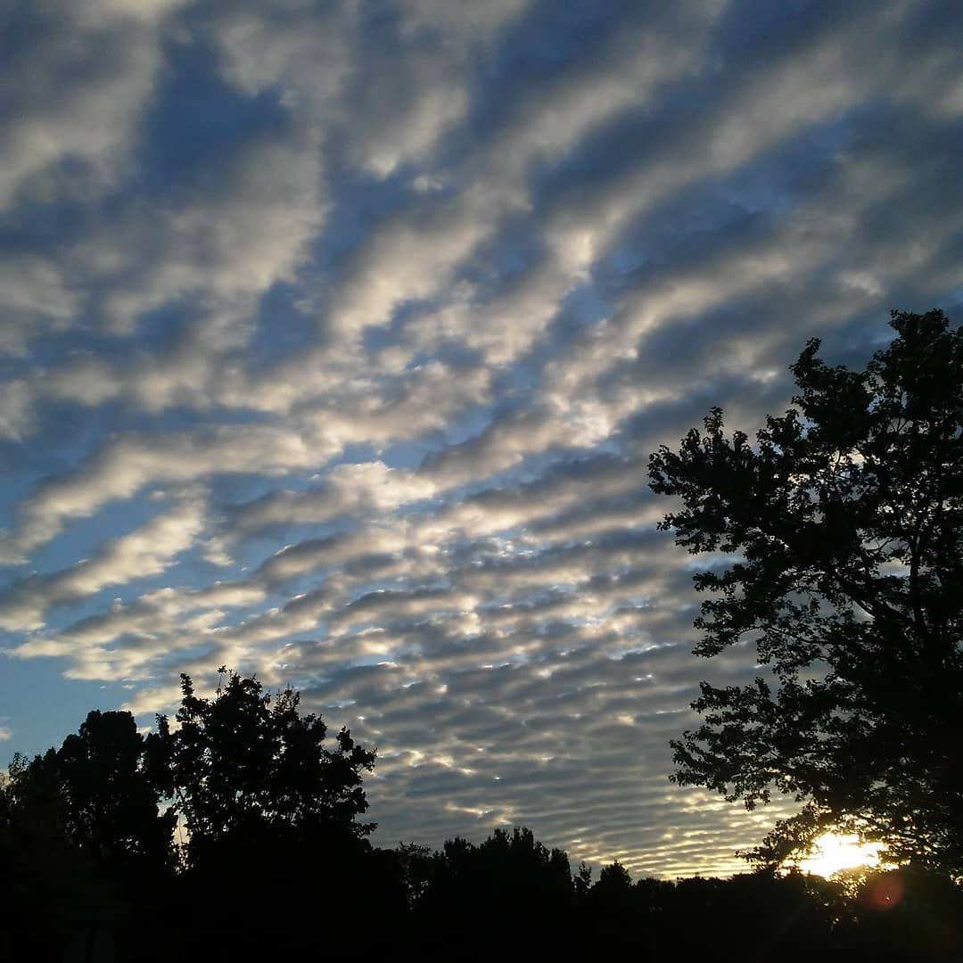 Nature gallery image 5