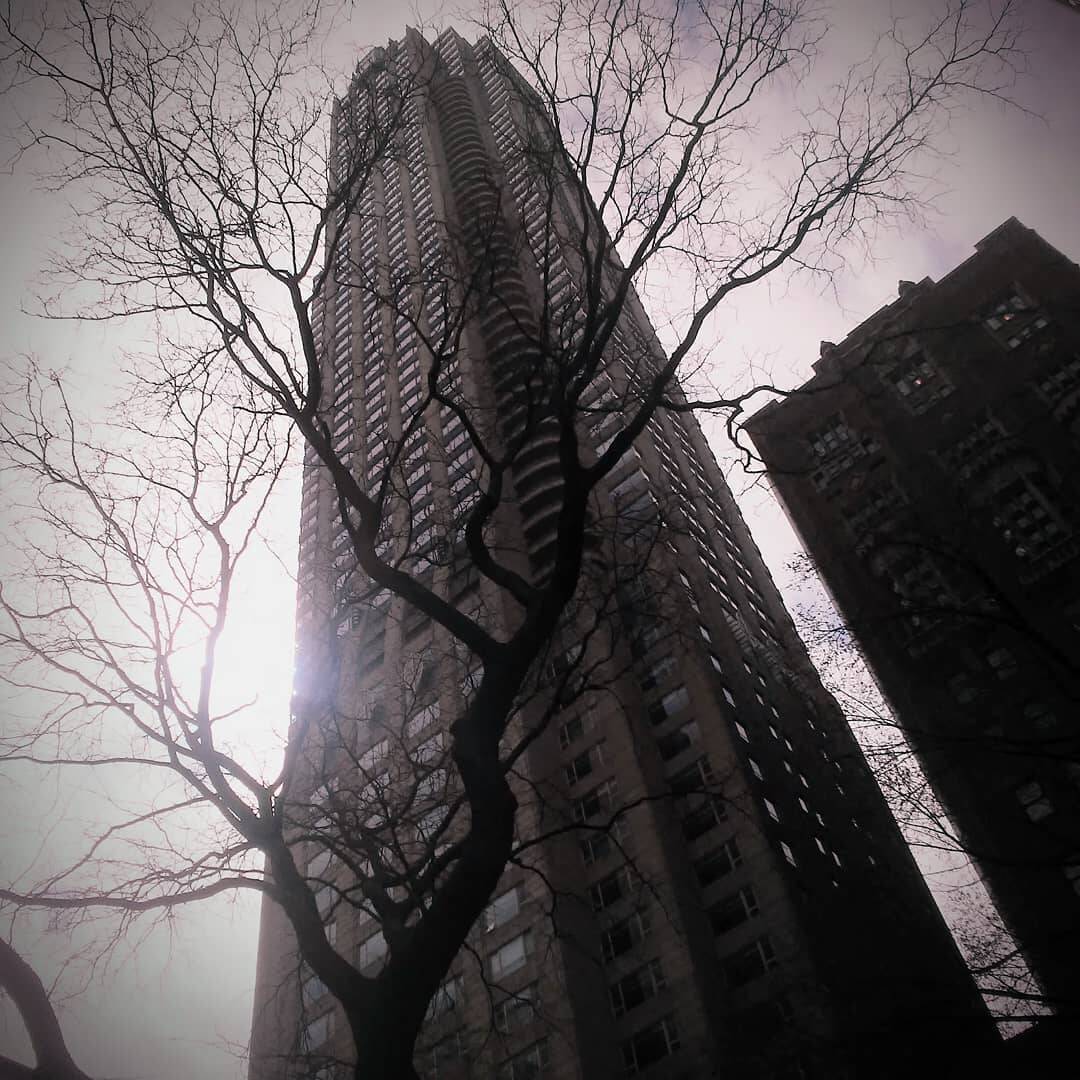 Nature gallery image 19