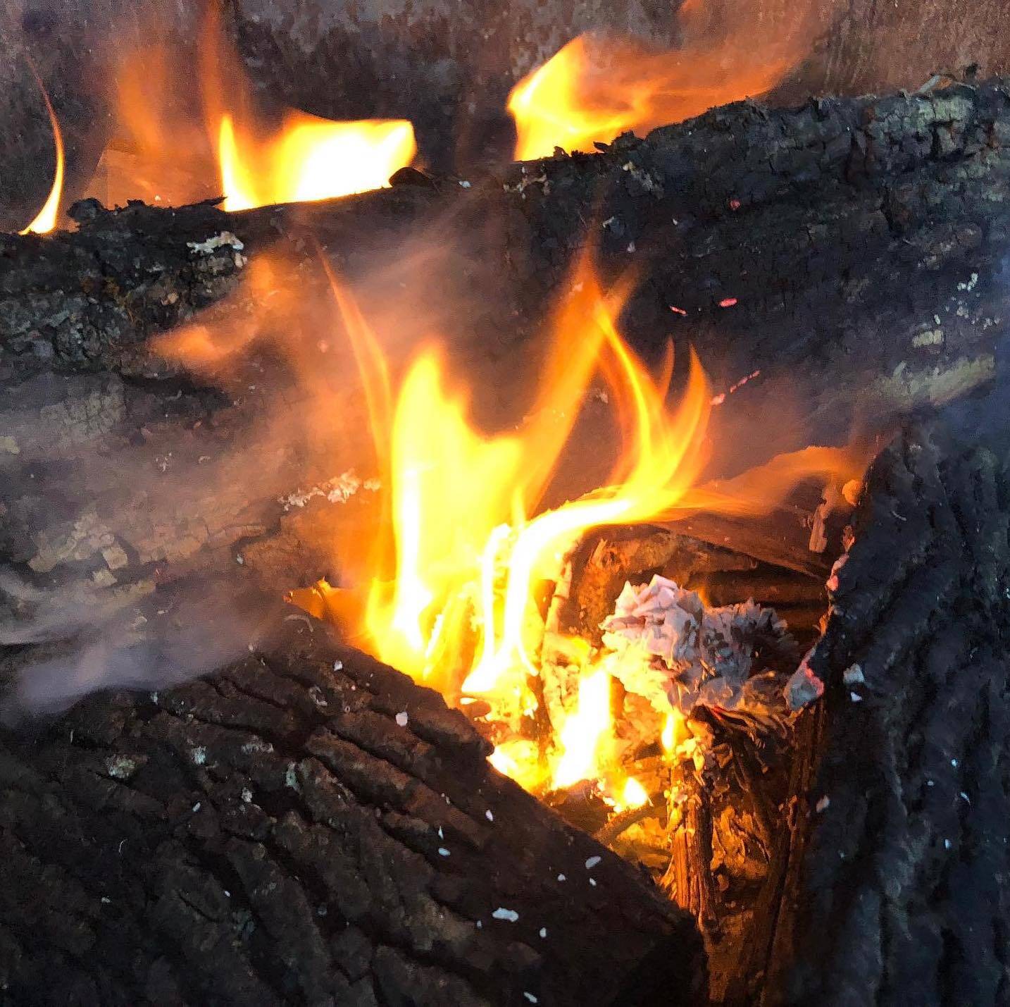 Nature gallery image 12