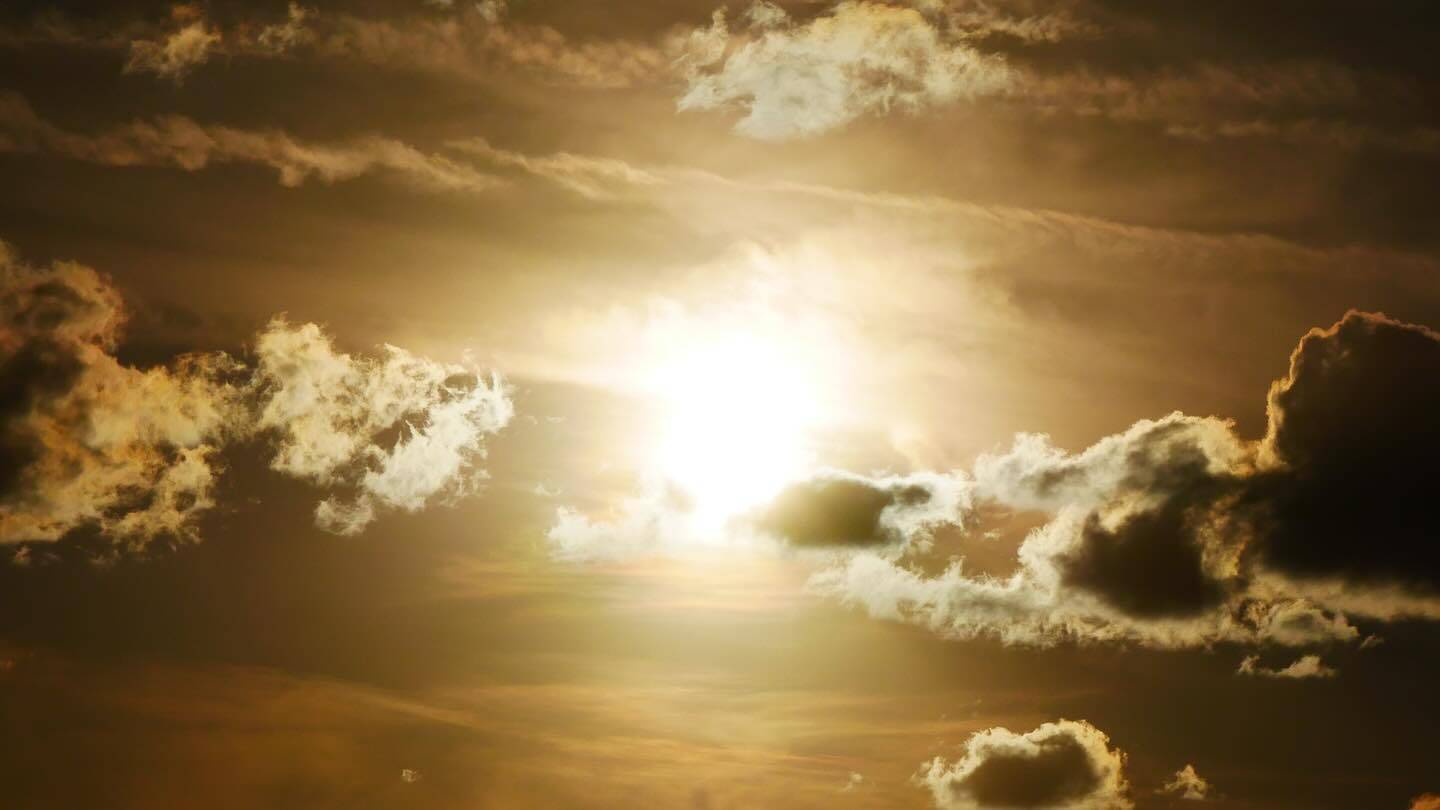 Nature gallery image 4