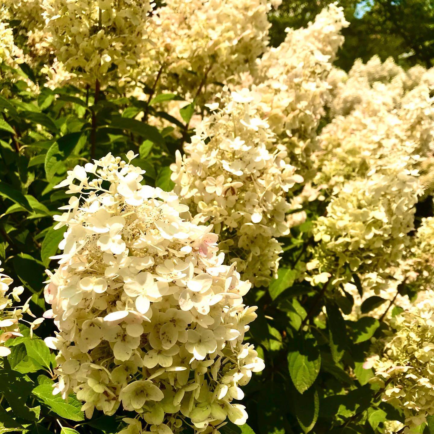 Nature gallery image 7