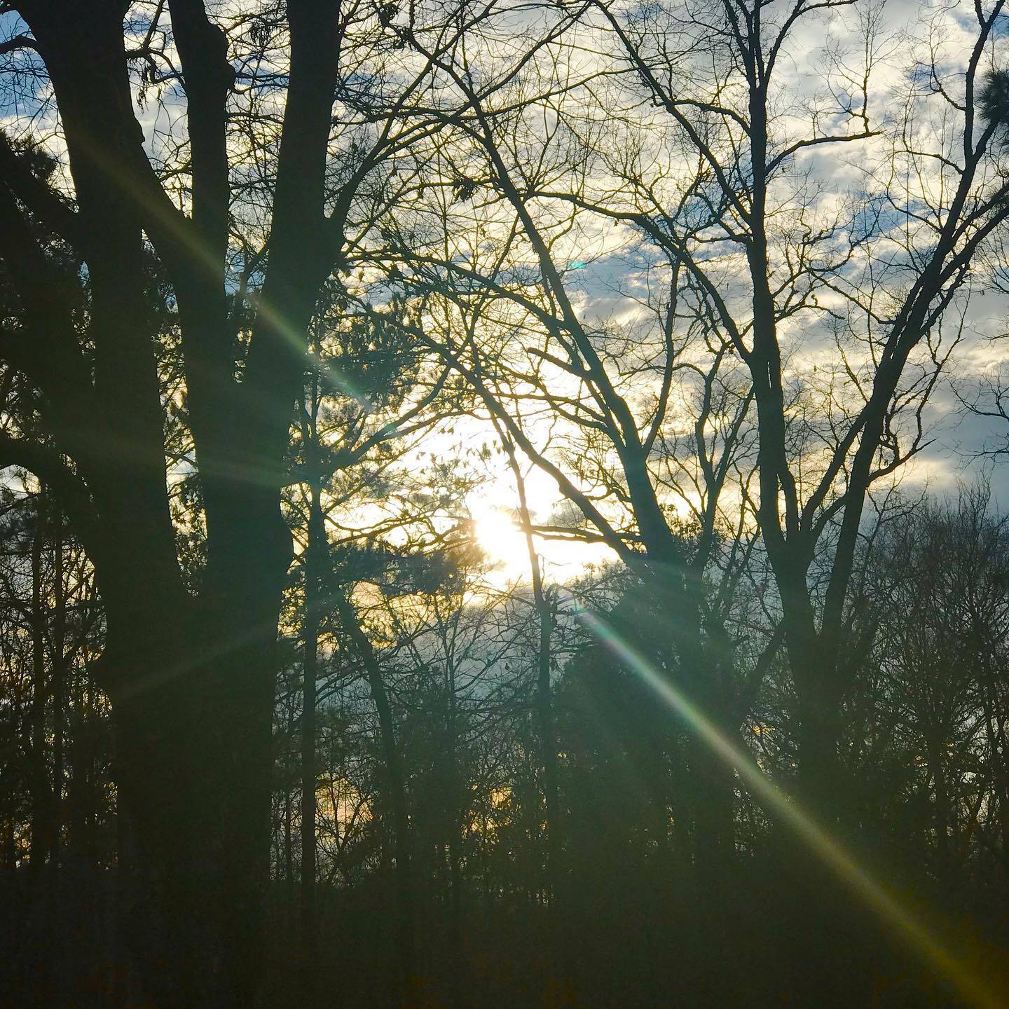 Nature gallery image 8