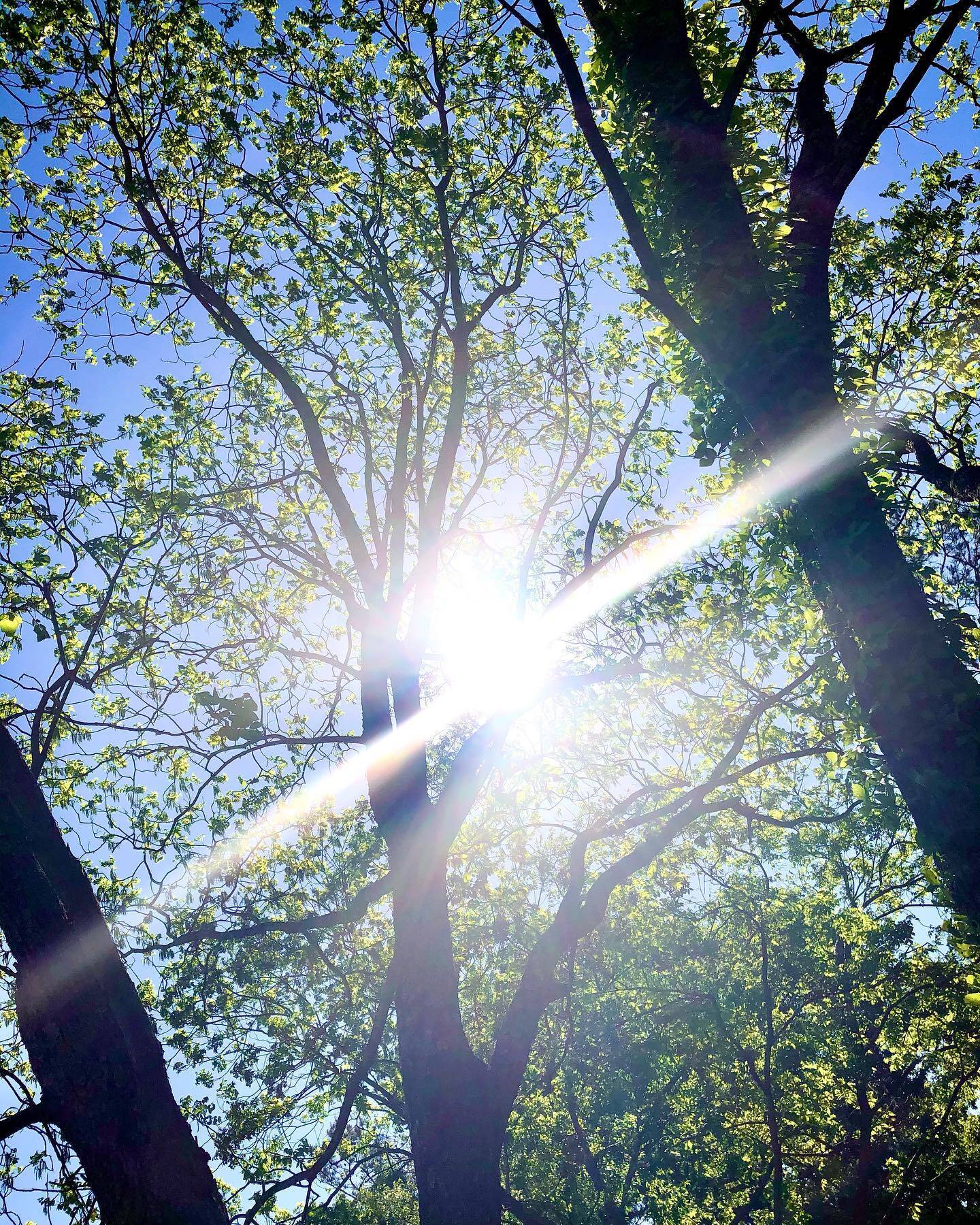 Nature gallery image 25