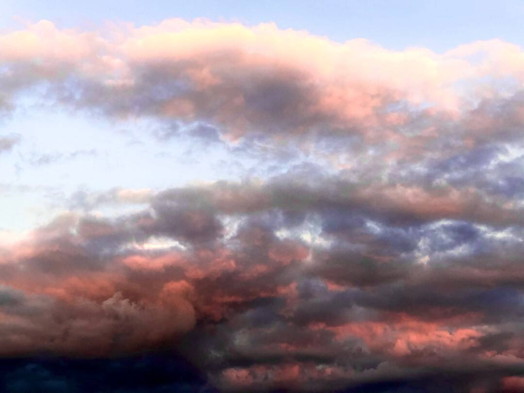 Nature gallery image 18