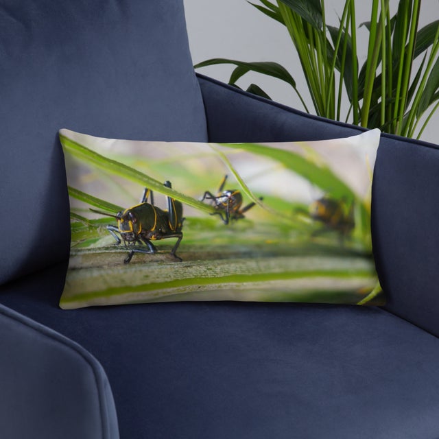 Jumper Trio - Pillow